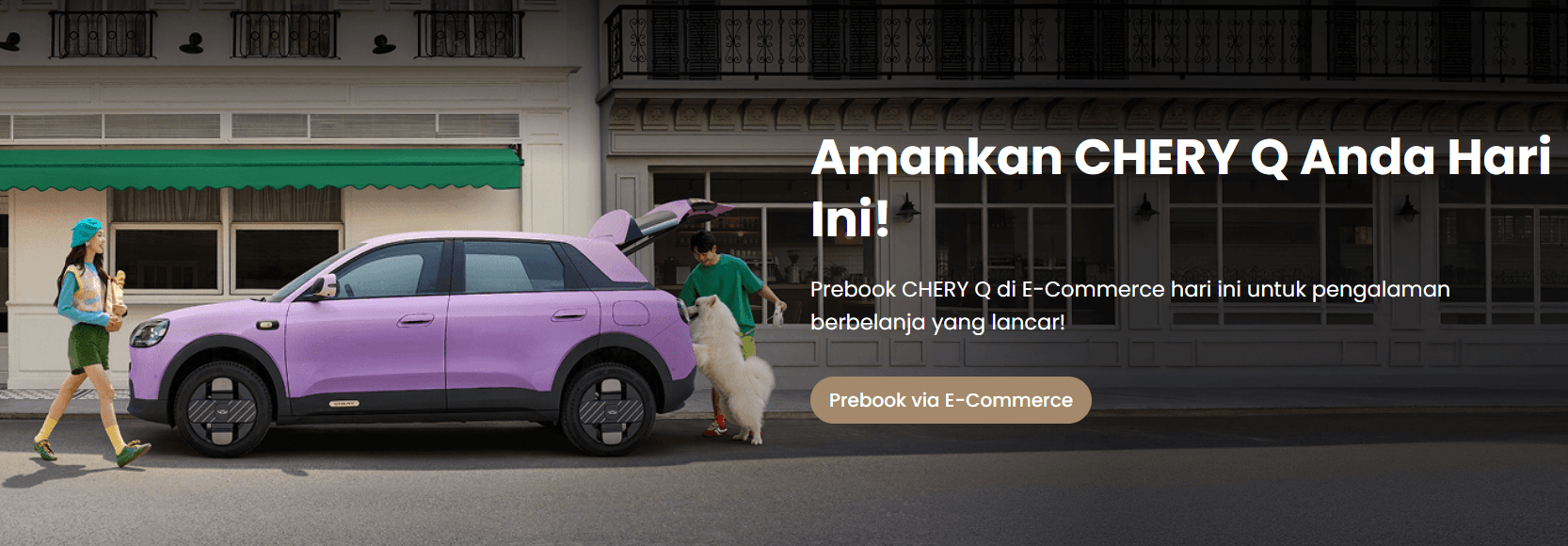 Chery Q