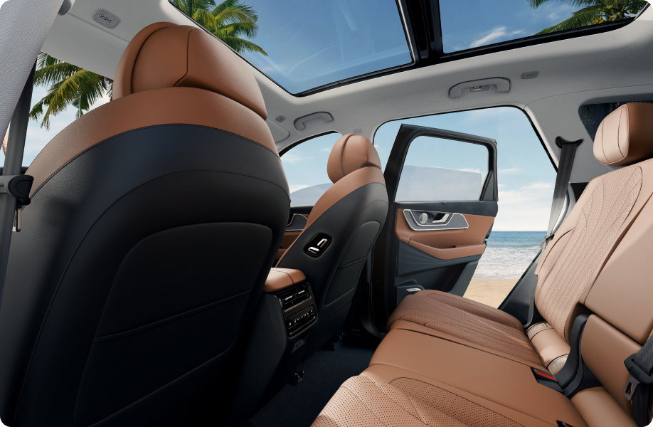 Electric Panoramic Sunroof-banner