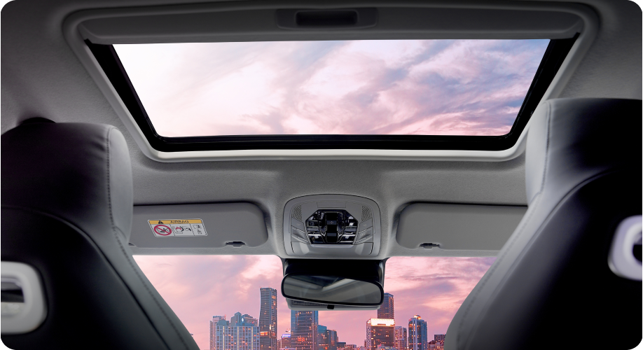 Electric Sunroof-banner